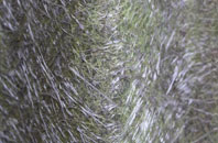 Foel Gastell fibreglass roof work